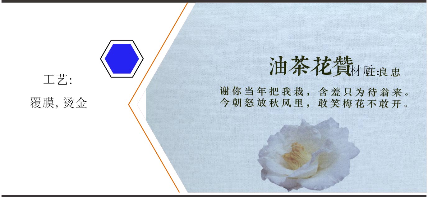 湖南茶油包裝設計